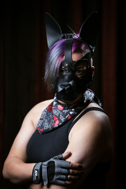 Porn Pics pupmishka:  Had some pup portraits taken