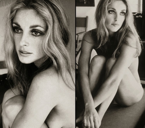 65eatonplace:  Sharon Tate by James Silke,