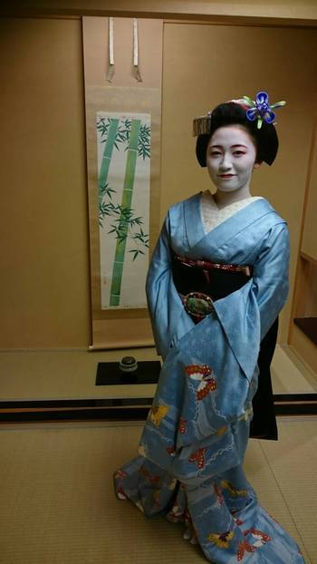 geisha-kai: Maiko Koharu for May 2017: light blue butterfly kimono and black obi