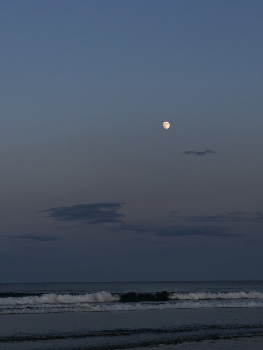 minynki-deactivated20200718:took a trip to the beach tonight :) 