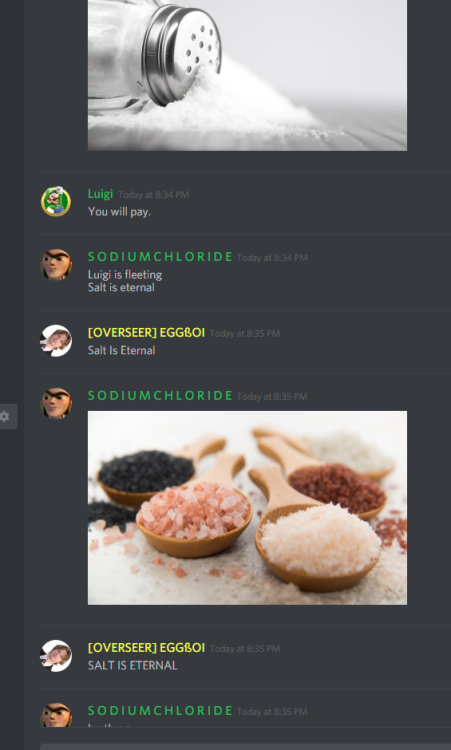 surreal–memes: surreal–memes: For those wondering what shenanigans go on in the discord Bepis 