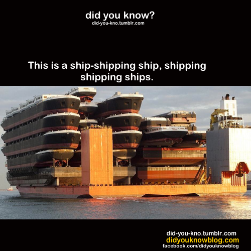 dragonpixies:  i ship this 