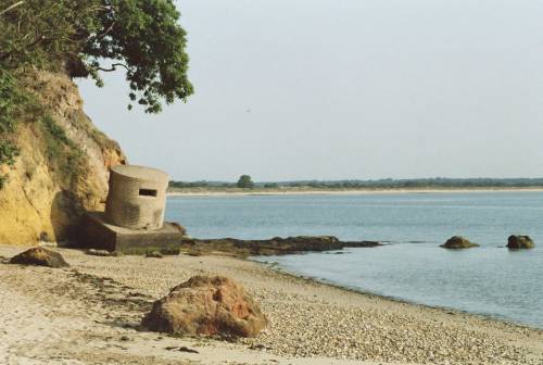 brewtank:Waking up on Studland beach.