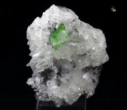 hematitehearts:  Augelite &amp; QuartzLocality:   Mundo Nuevo Mine, Mundo Nuevo, Huamachuco, Sanchez Carrion Province, La Libertad Department, Peru 