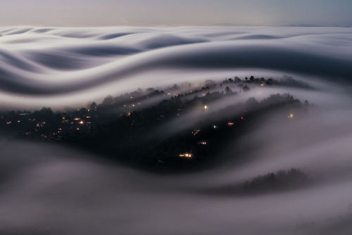 mega-hippobumhole:  sixpenceee:  Italian photographer Lorenzo Montezemolo climbed Mt. Tamalpais to c