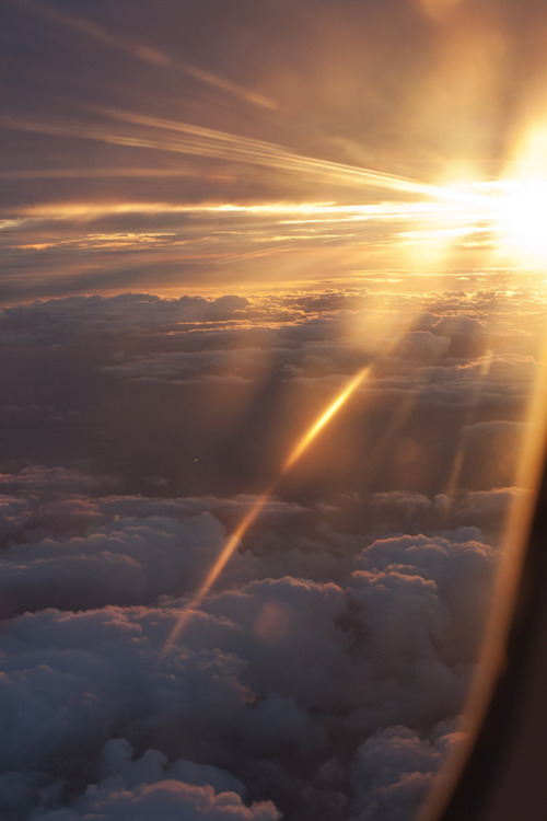 plasmatics:  Florida sunset by kelly*green adult photos