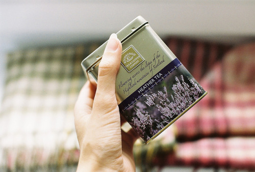 fairycastle:heather tea! by sophie_splean on Flickr.heather tea!