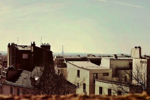 XXX alabina-life:  My lovely Paris photo