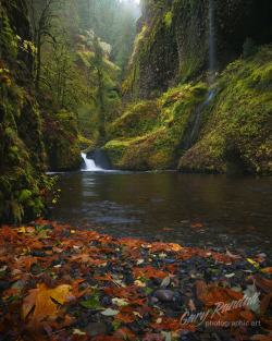 travelthisworld:  Rainy Season in the Rainforest Columbia River Gorge, Oregon, USA | by Gary Randall