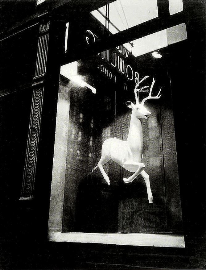 danismm:
“Window by Berenice Abbott. New York 1947.
”