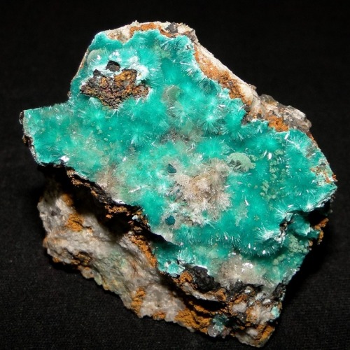 Aurichalcite with Hemimorphite and Rosasite - Dos Adriana Mine, Zapallar District, Copiapo, Atacama 