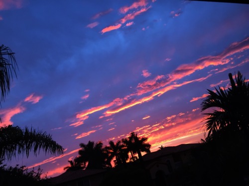 wrxst29:  the sunset yesterday