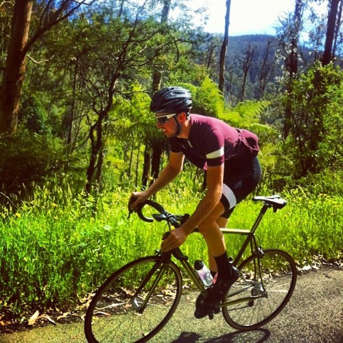 xhotxbradx:  @fameandspear looking all @rapharacing epic on the @hells500 climb up my Baw Baw today.