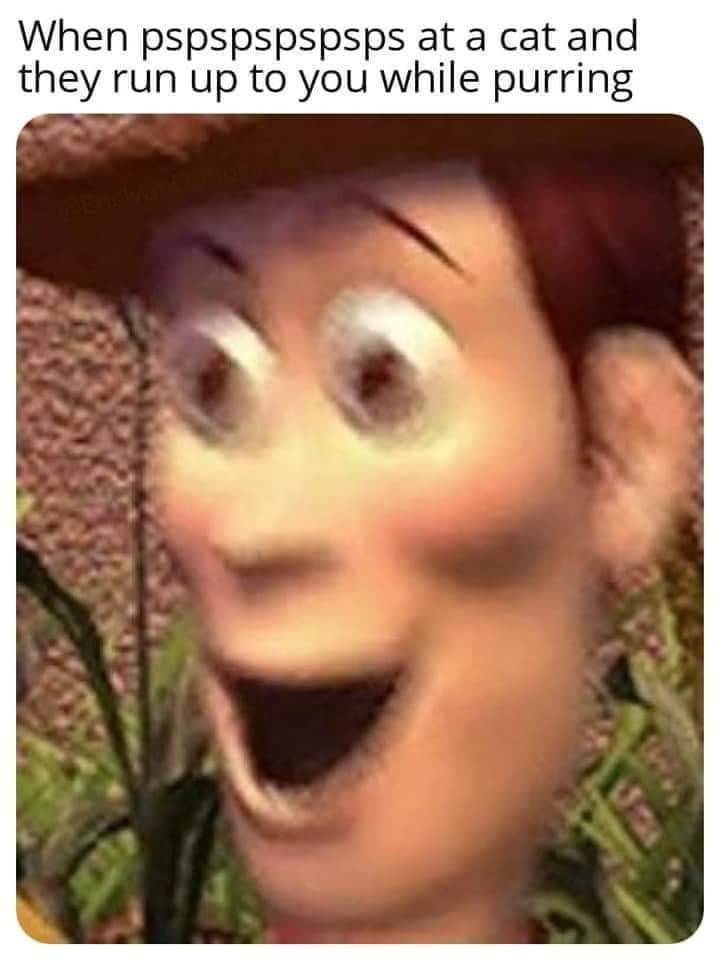memewhore: