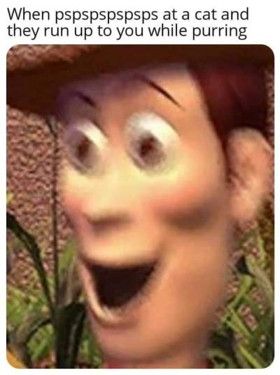 memewhore: