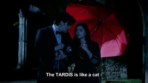 As a cat lover I just came to love the TARDIS even more than before because of that comment. ♥ 