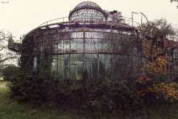 steampunktendencies:  Abandoned Greenhouse