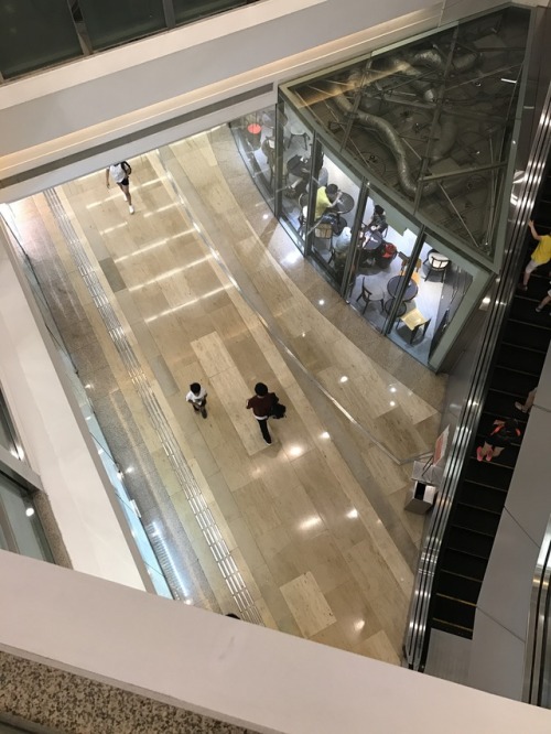 hkgreenqueen:商場露出，對正條電梯，下面熙來攘往⋯ 淫賤到！—Exhibiting in a mall, facing an escalator with a busy ground fl