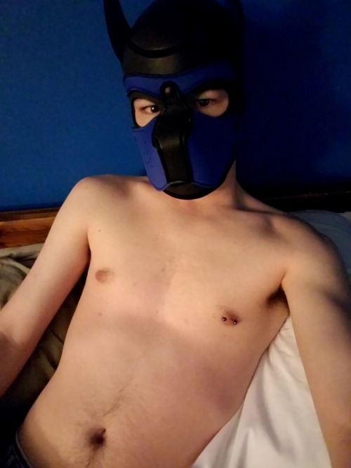 Sex otter-pup-the-pup:  Pup has two days off pictures