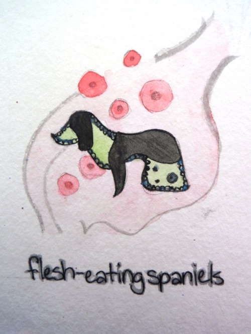 inkycontagion:  BREEDS OF DOGS THAT ARE NOT RIGHT FOR CHILDREN 