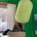 catasters: