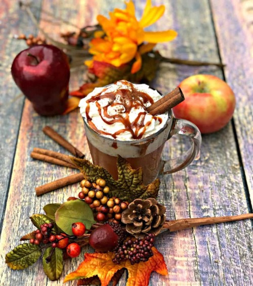 autumncozy:SKINNY COPY-CAT STARBUCKS CARAMEL APPLE CIDER