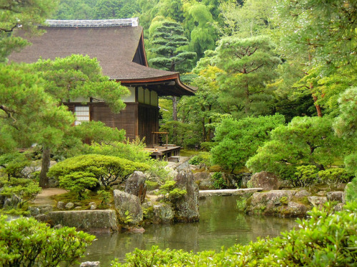 Kyoto tea house in the forest