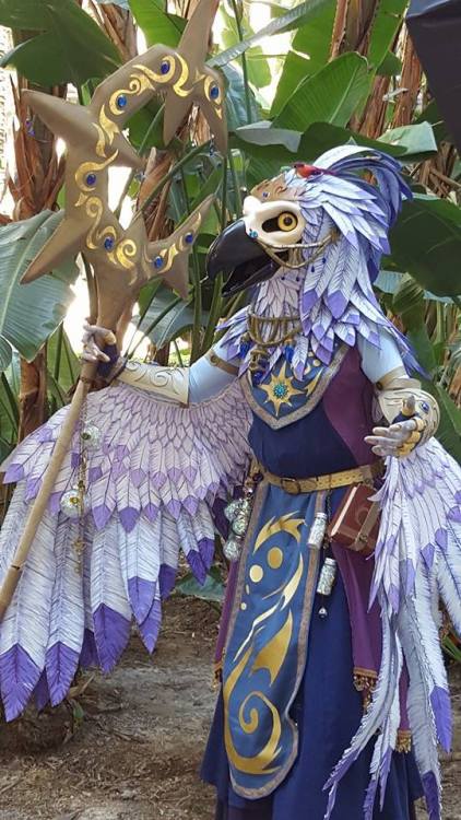 malisvitterfolk: Here is some of my favorite photos from Blizzcon of my Arakkoa. Credit should be on