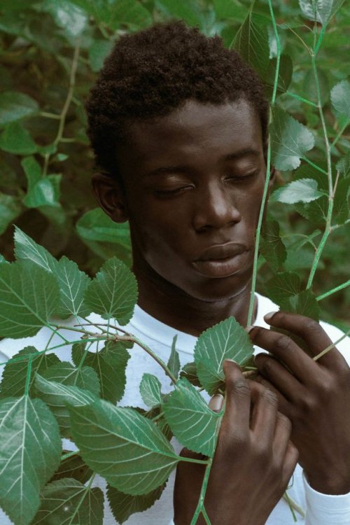 XXX fuckyeahafricans:SIERRA LEONETWITTER & photo