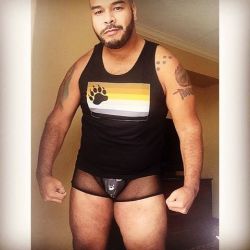 munequitodeebano:  Sexy Bear Underwear (Mesh Boxer Brief) Sizes: Large and X-Large ผ.00 Free Shipping (US only) Payments Via PayPal Only Direct Me if you interested