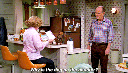 t70sdaily:THAT 70’S SHOW— 05.22 “You Shook Me”