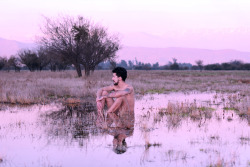 There's no way out, the only way out's to give in