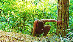 johnwatsoning:  the walking dead meme » [1/3] colors     ↳ green 