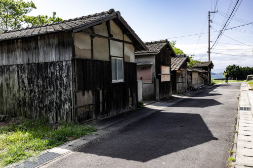 Stray Cats Island.