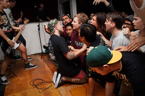 likebutterfliestoflames:  Hundredth 