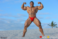 the-swole-strip:  roelly winklaar http://the-swole-strip.tumblr.com/ 