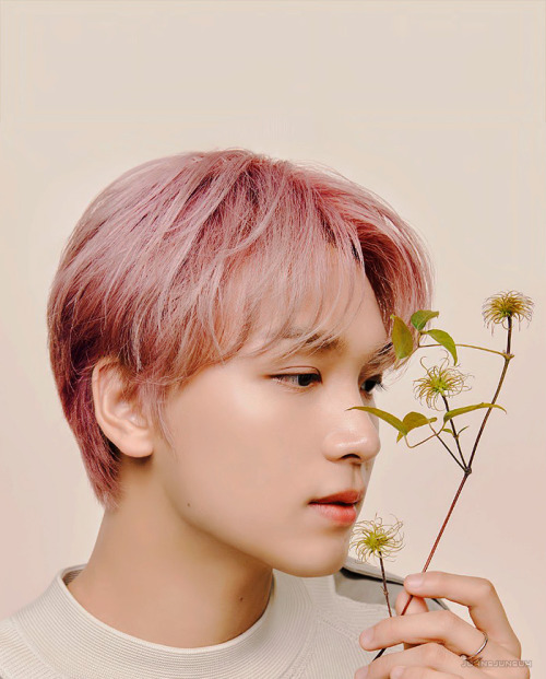 johnsjunsuh:NCT 127 x Nature Republicdon’t repost