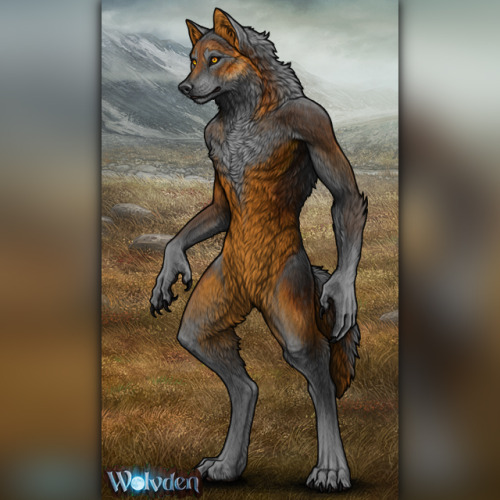 xylax: Come have fun in the Anthro Wardrobe on Wolvden! You do not need an account to use it in full