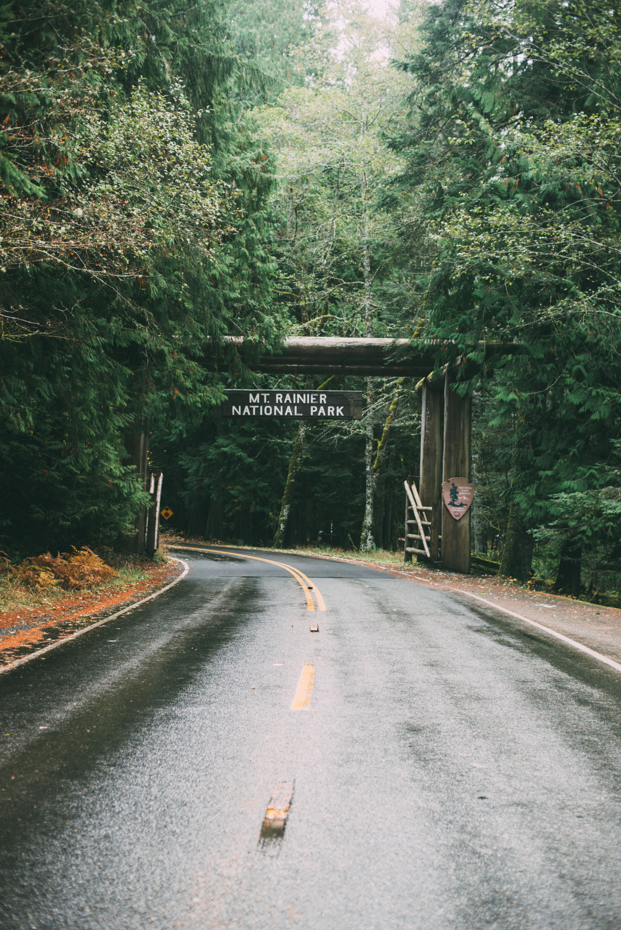 rhiannahoward:  Mount Rainier National Park 