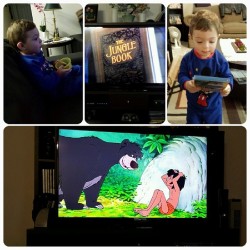 #berlinbenjamin loved the #junglebook