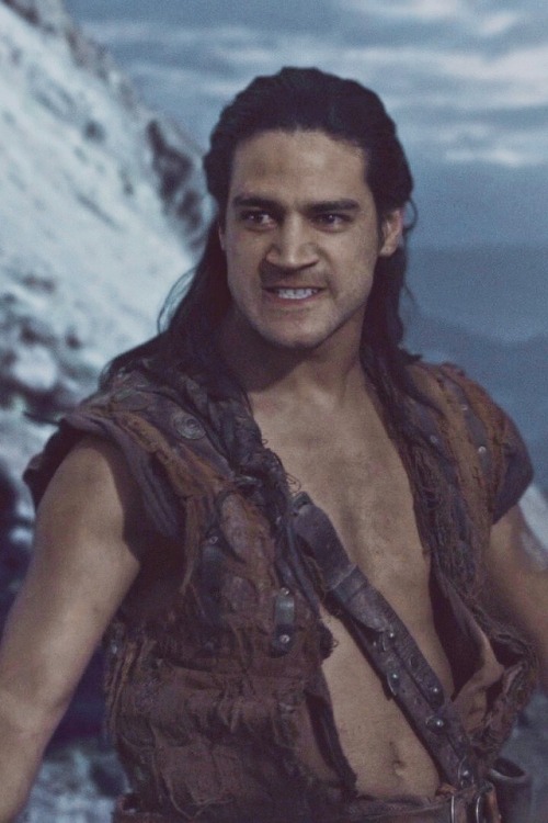 patroclusdefencesquad: hi I love my angry little Syrian thanks bye