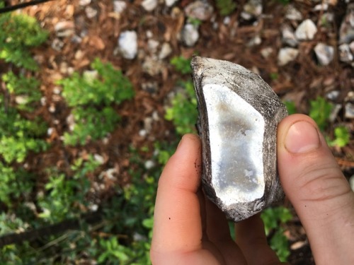 Summer Fieldwork 2018- Suwannee chert outcrop in northwest Florida. I will be sampling this location