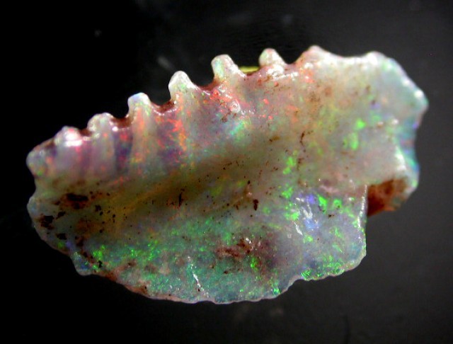 Minerals, Crystals Fossils - Opalized Bones - Australia