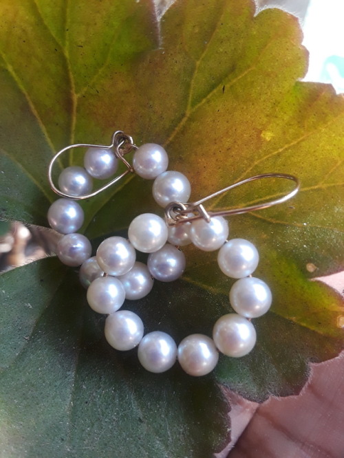 4.5-5mm Akoya Pearl Loops14kt Yellow Gold Earrings