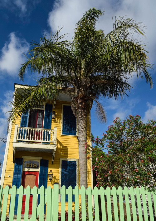 Color in the Irish Channel. New Orleans, Louisiana. April 2016.・For optimal photo quality, view the 