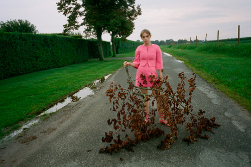 emilyjeanstone:Maya Hawke by Gia Coppola for Zac Posen