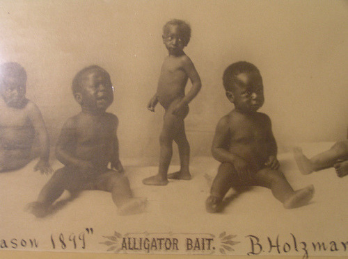 Unfriendly reminder that White people used Black babies to bait alligators 