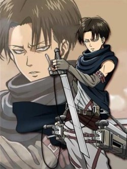 Levi Heichou Love