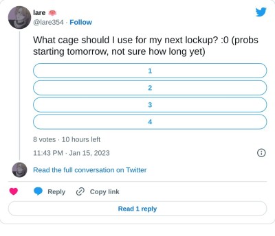 What cage should I use for my next lockup? :0 (probs starting tomorrow, not sure how long yet)

— lare 🪷 (@lare354) January 15, 2023