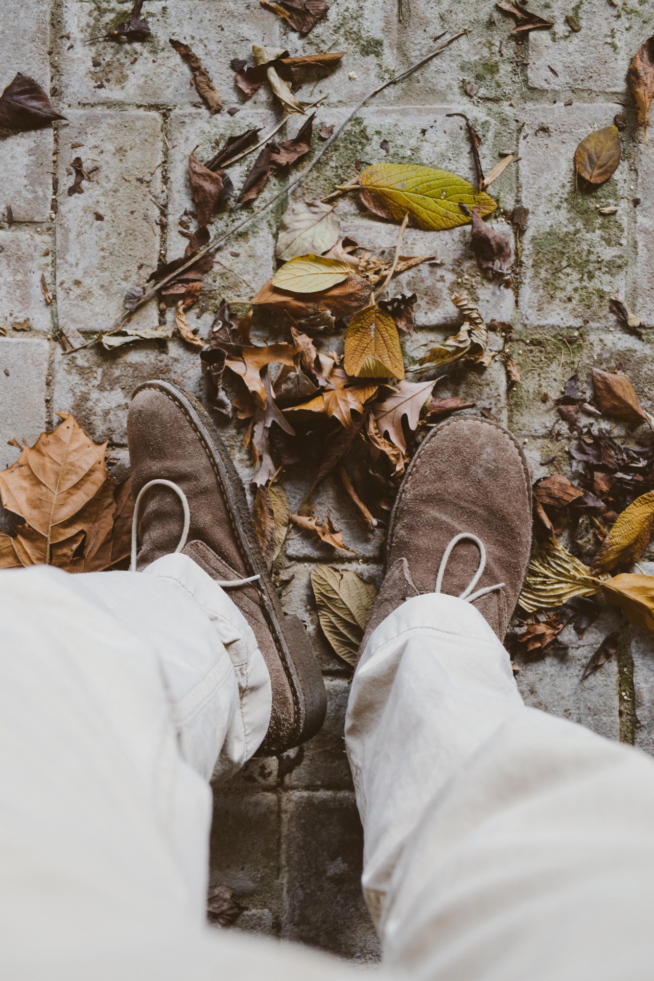 vintageux:  vintage/nature